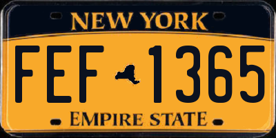 NY license plate FEF1365