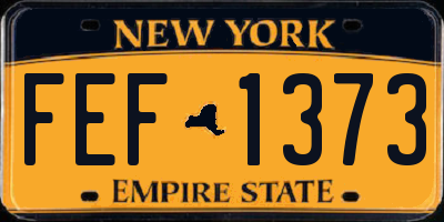 NY license plate FEF1373