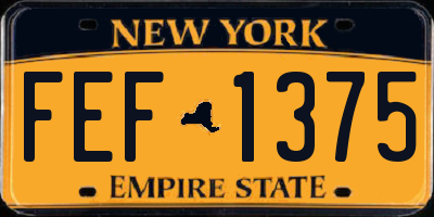 NY license plate FEF1375