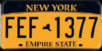 NY license plate FEF1377