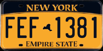 NY license plate FEF1381