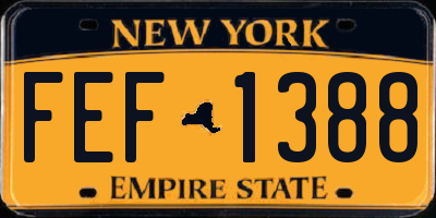 NY license plate FEF1388