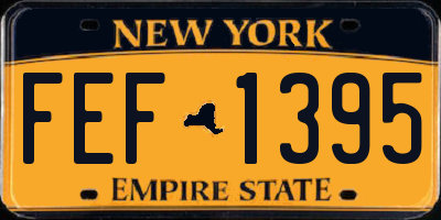 NY license plate FEF1395