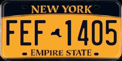 NY license plate FEF1405