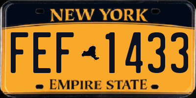 NY license plate FEF1433