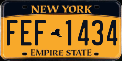 NY license plate FEF1434