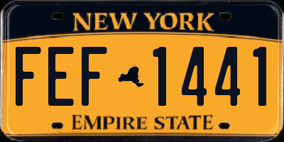 NY license plate FEF1441