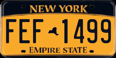 NY license plate FEF1499