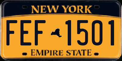 NY license plate FEF1501