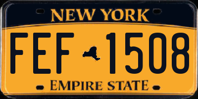 NY license plate FEF1508