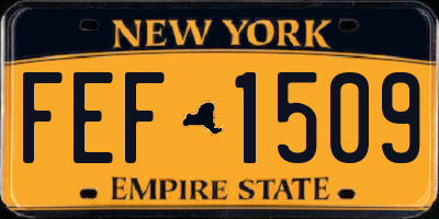 NY license plate FEF1509