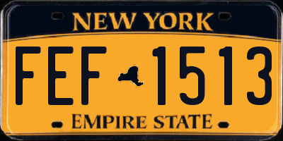 NY license plate FEF1513