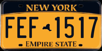 NY license plate FEF1517