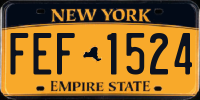 NY license plate FEF1524