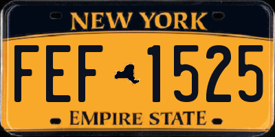 NY license plate FEF1525