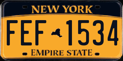 NY license plate FEF1534