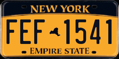 NY license plate FEF1541