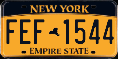 NY license plate FEF1544