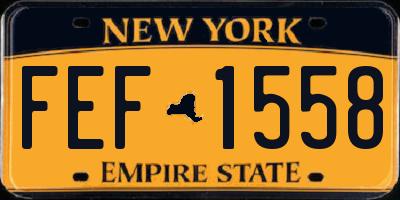 NY license plate FEF1558