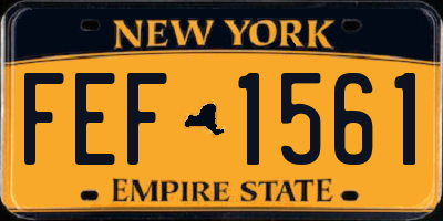 NY license plate FEF1561