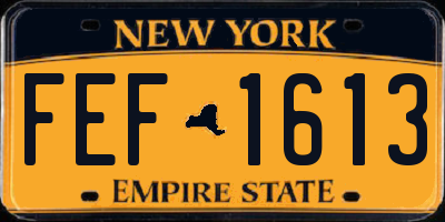NY license plate FEF1613