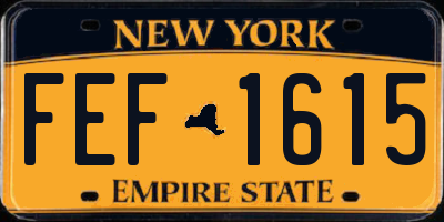 NY license plate FEF1615