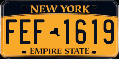 NY license plate FEF1619