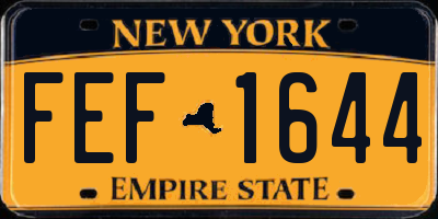 NY license plate FEF1644