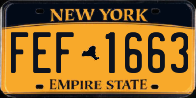 NY license plate FEF1663
