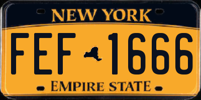 NY license plate FEF1666