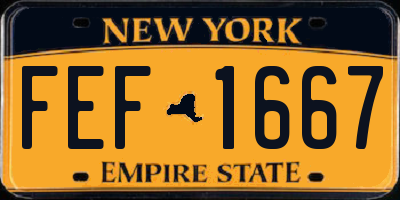 NY license plate FEF1667