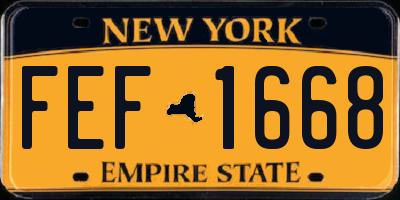 NY license plate FEF1668