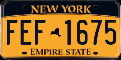 NY license plate FEF1675