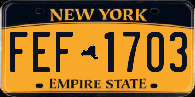 NY license plate FEF1703