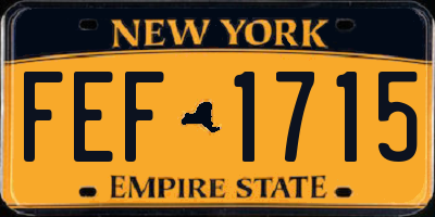 NY license plate FEF1715