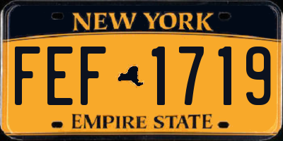NY license plate FEF1719