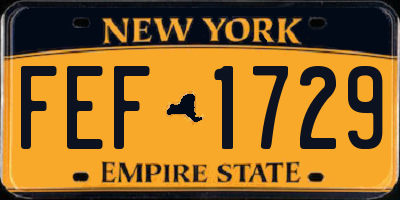 NY license plate FEF1729