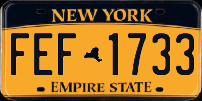 NY license plate FEF1733