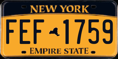 NY license plate FEF1759