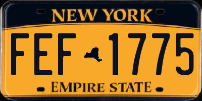 NY license plate FEF1775