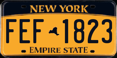 NY license plate FEF1823