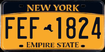 NY license plate FEF1824