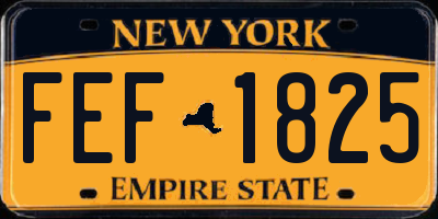 NY license plate FEF1825