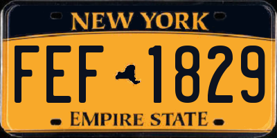 NY license plate FEF1829