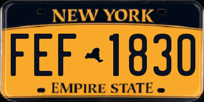 NY license plate FEF1830