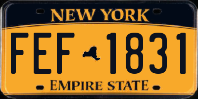 NY license plate FEF1831