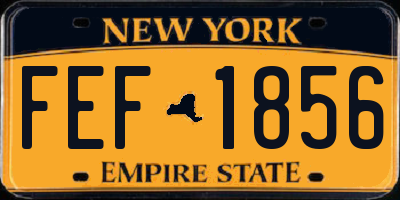 NY license plate FEF1856
