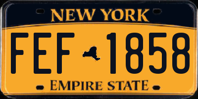 NY license plate FEF1858