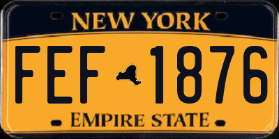 NY license plate FEF1876