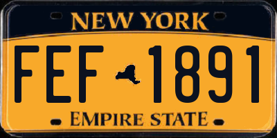 NY license plate FEF1891